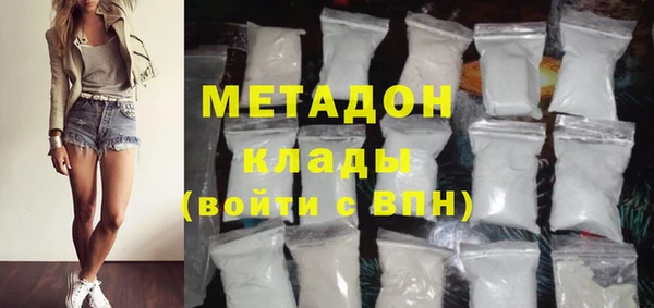 прущие грибы Куйбышев