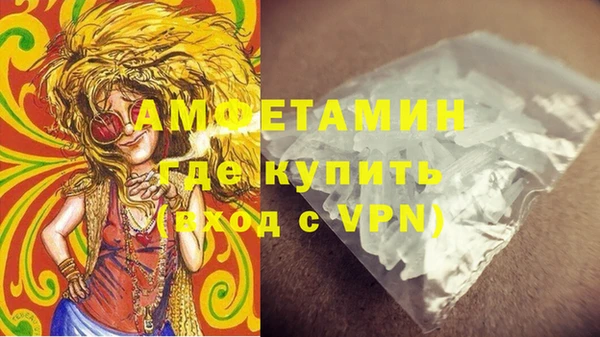 прущие грибы Куйбышев