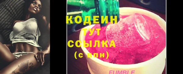 прущие грибы Куйбышев