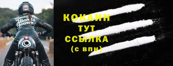 прущие грибы Куйбышев