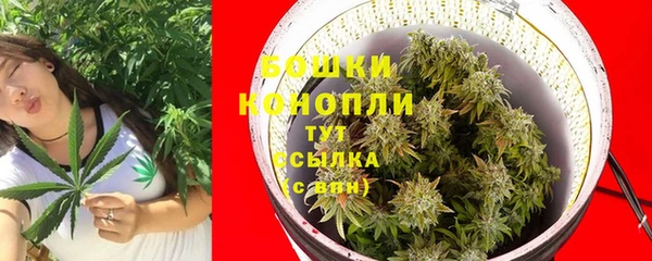 прущие грибы Куйбышев
