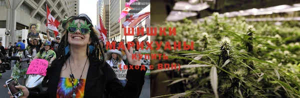 прущие грибы Куйбышев
