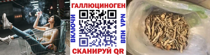 Купить где  Поворино  Псилоцибиновые грибы Cubensis 