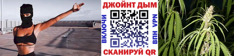 Канабис семена  Купить закладки  Поворино 